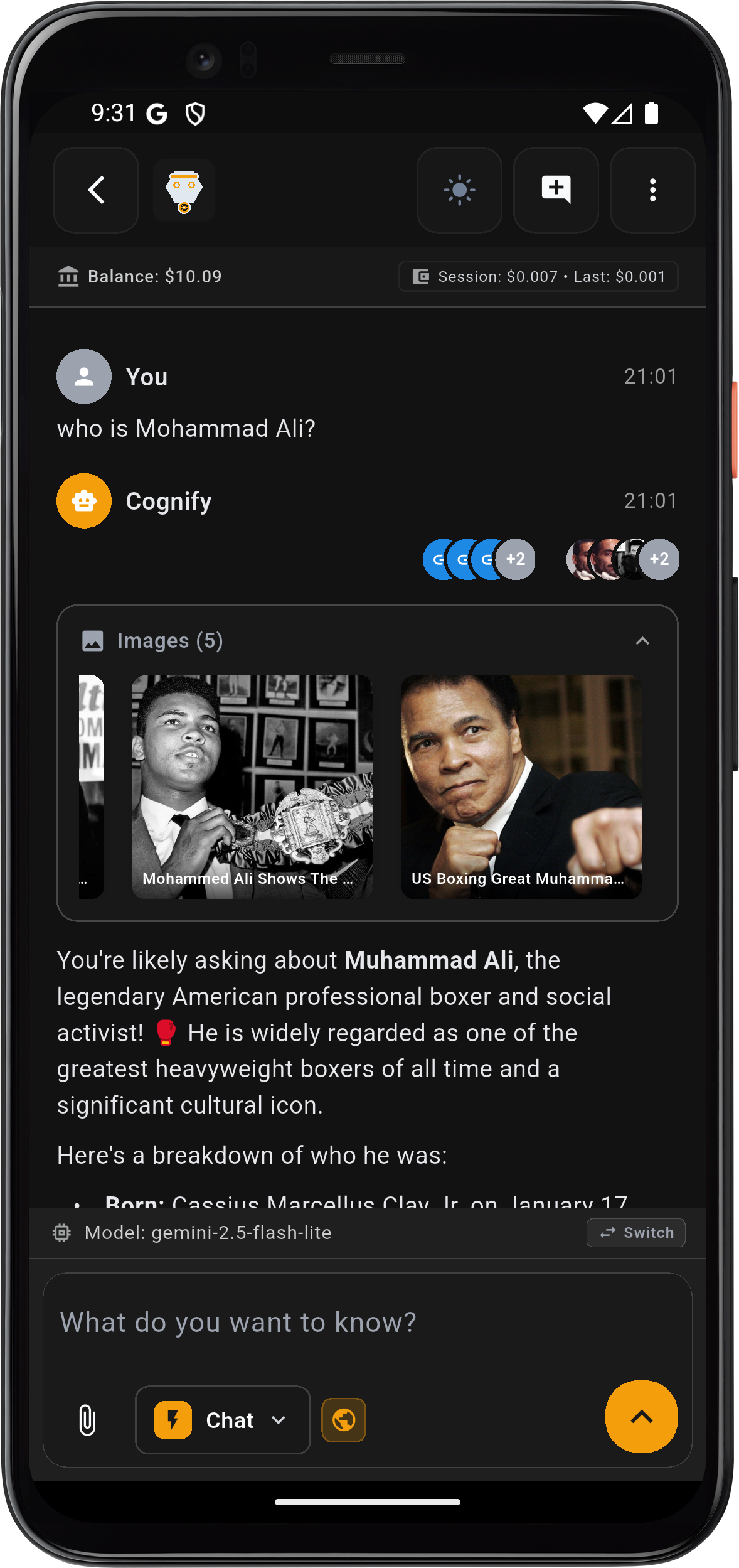 Chat AI Interface
